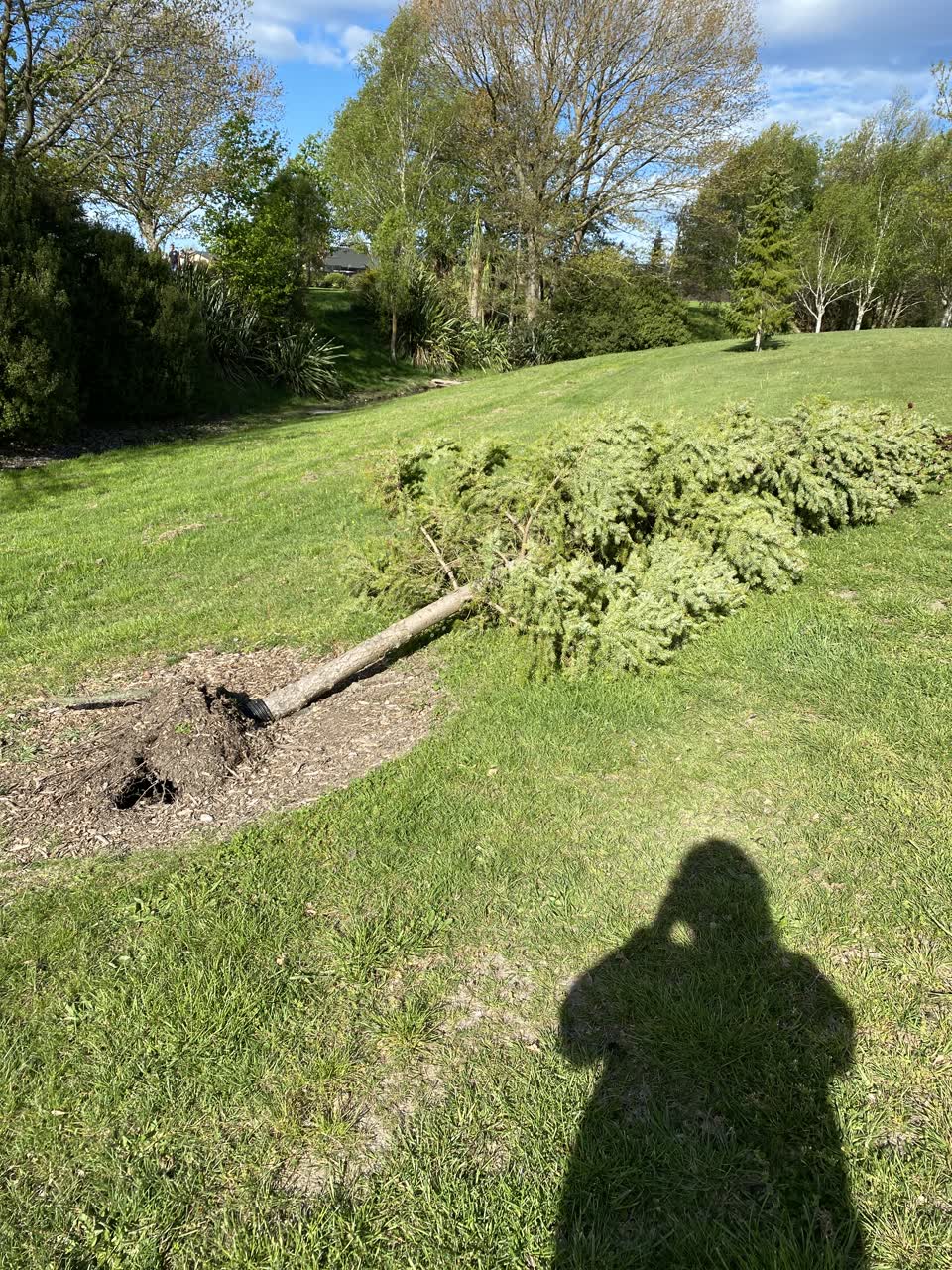 The photograph attached to this parks report