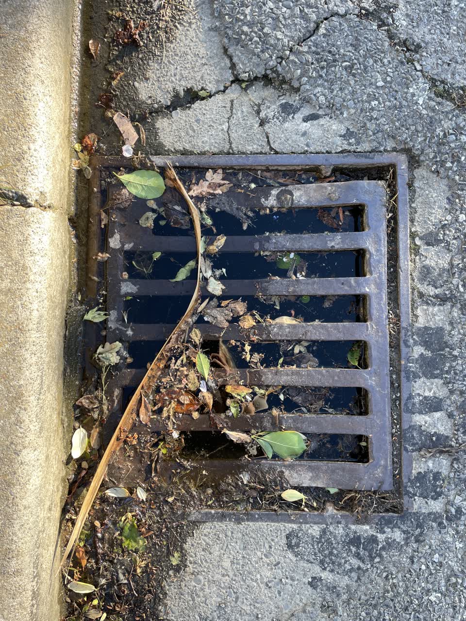 The photograph attached to this flooding report