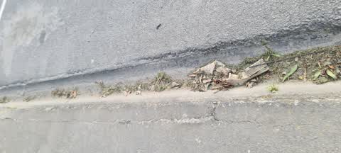 Roading/Streets, a report photo