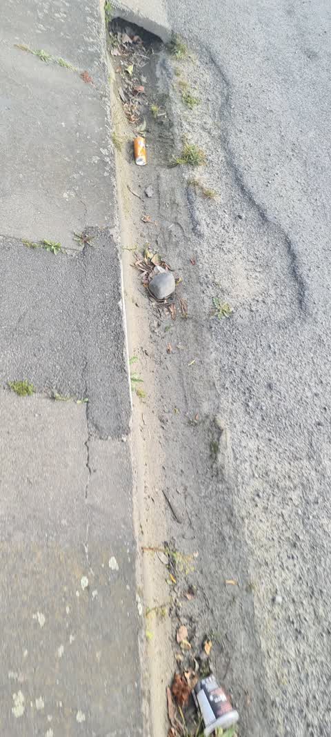 Roading/Streets, a report photo