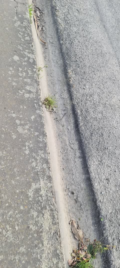 Roading/Streets, a report photo