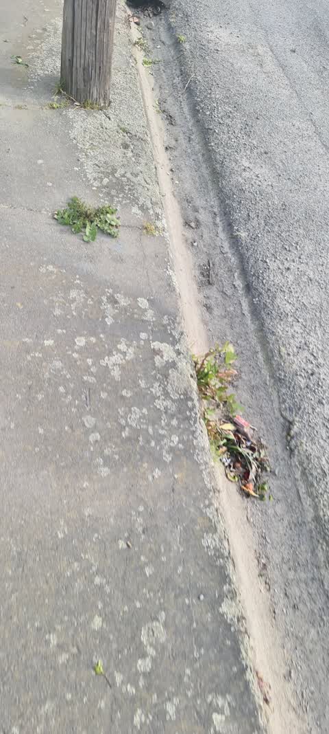 Roading/Streets, a report photo