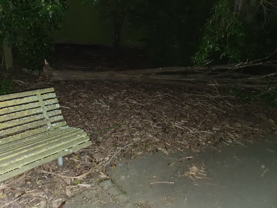 The photograph attached to this parks report