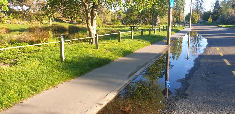The photograph attached to this parks report