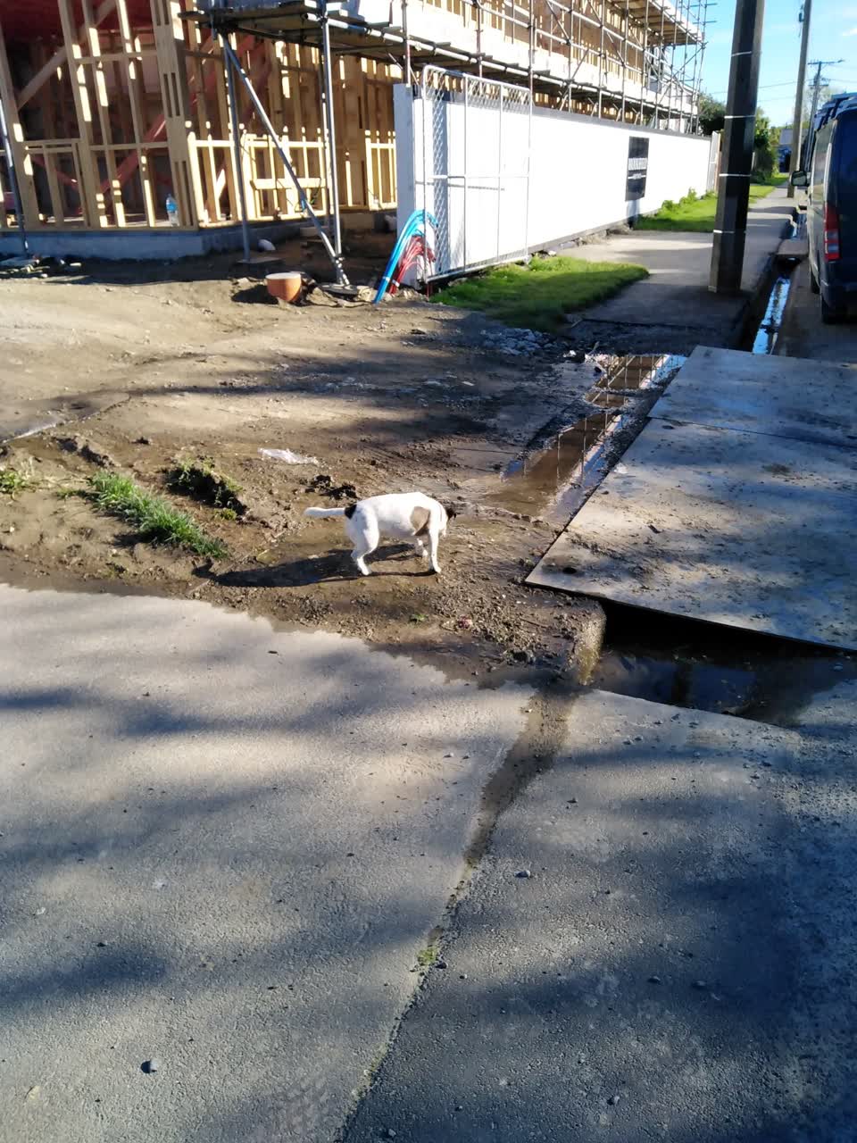 The photograph attached to this water leak report