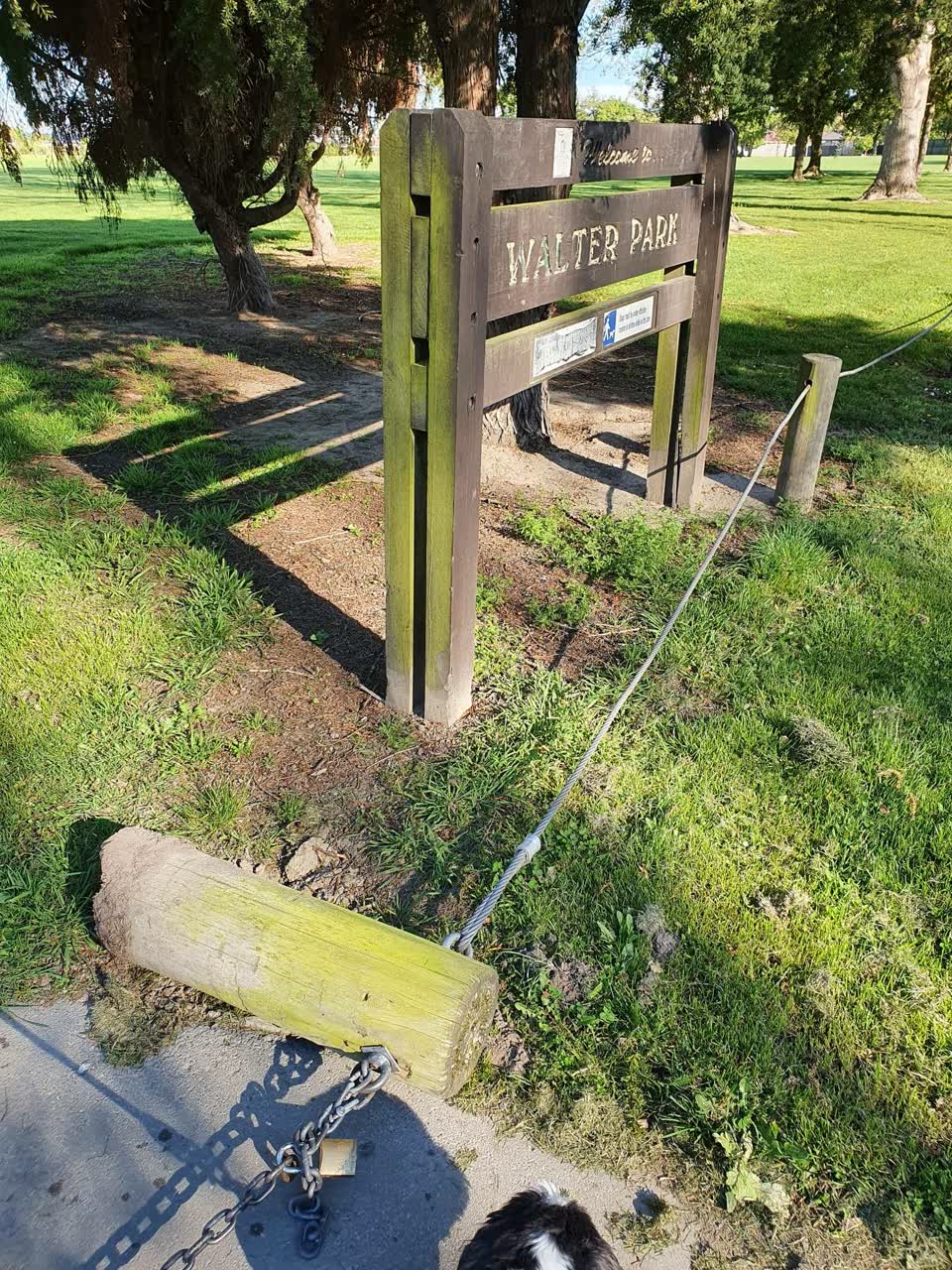 The photograph attached to this parks report