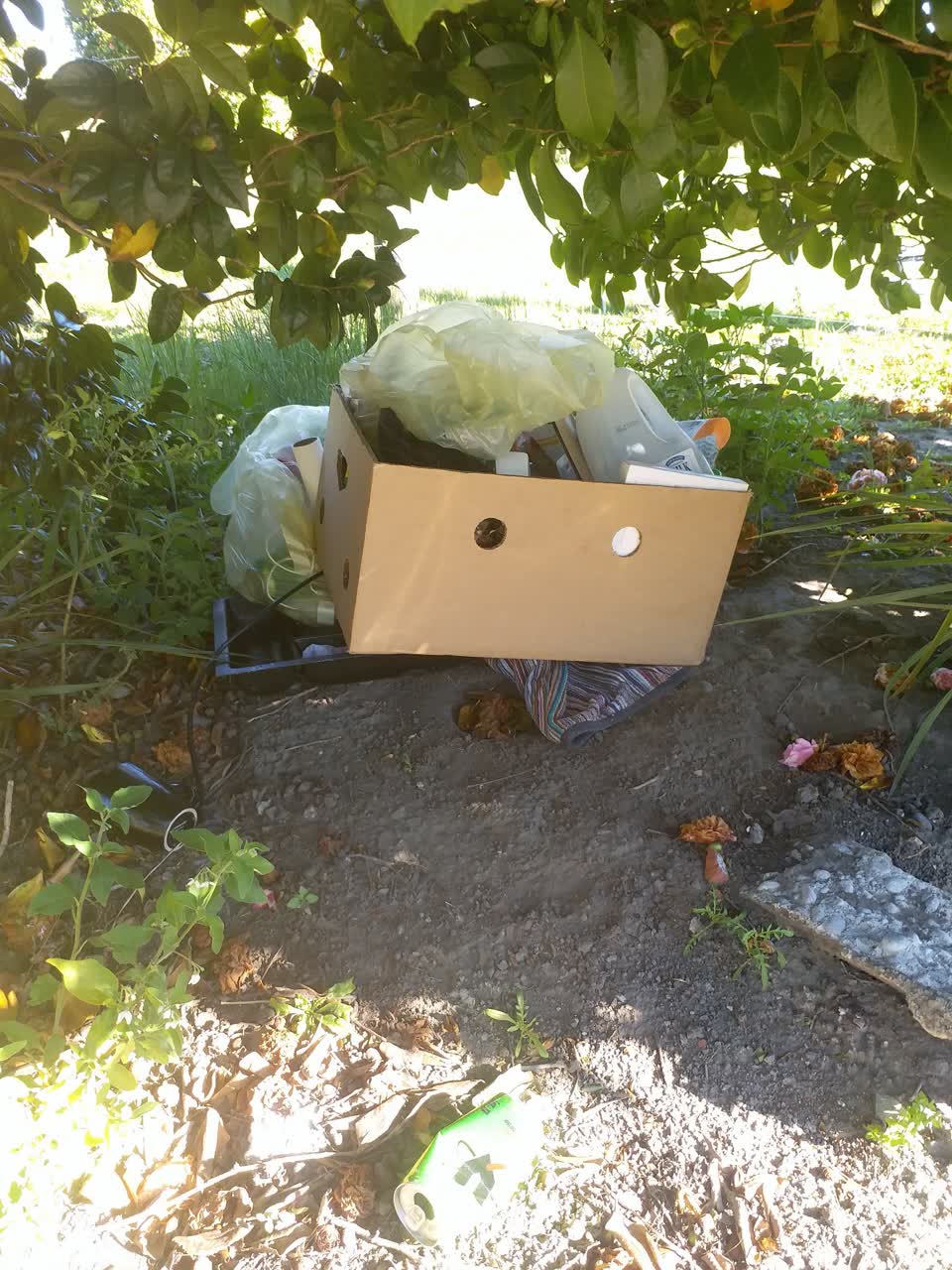 The photograph attached to this rubbish/recycling report