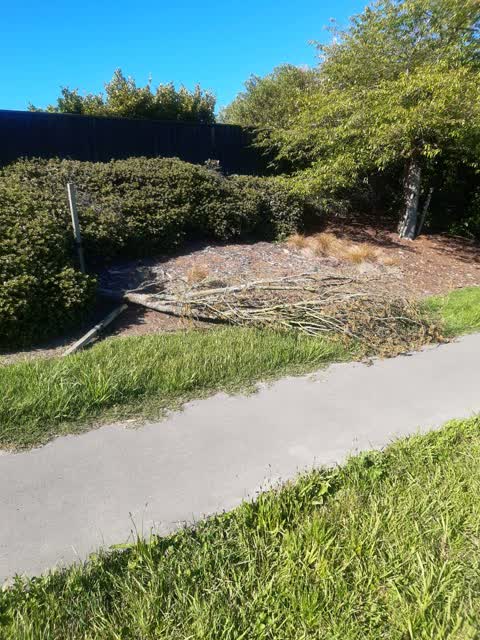 Parks, a report photo