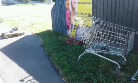Parks, a report photo