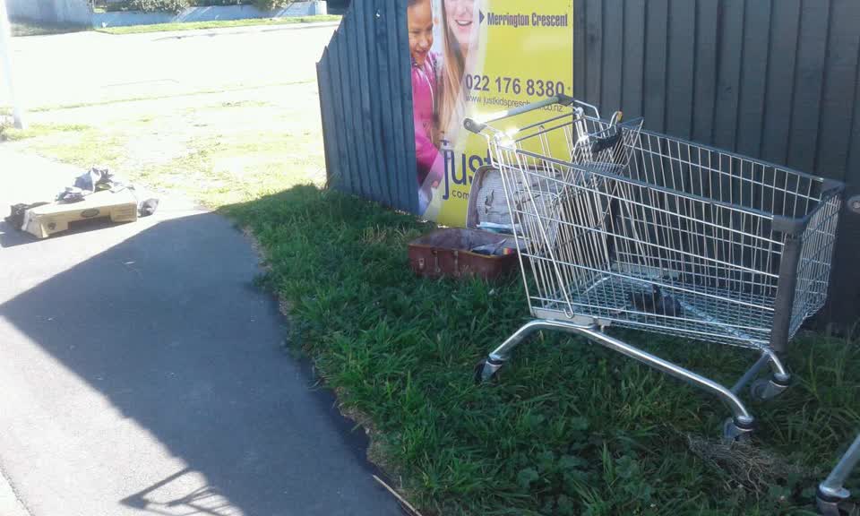 The photograph attached to this parks report