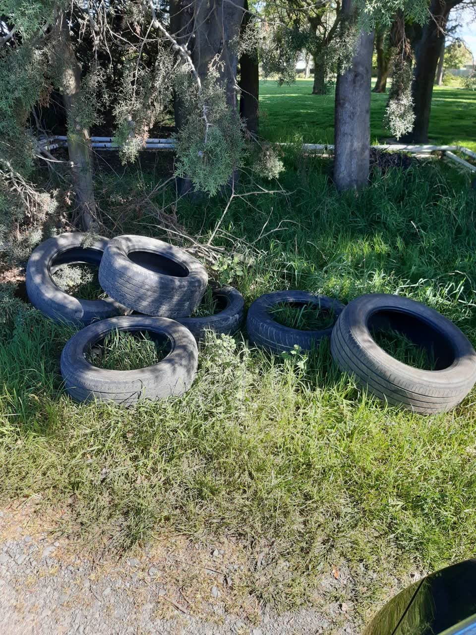 The photograph attached to this parks report