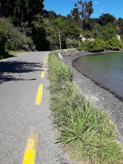 Roading/Streets, a report photo