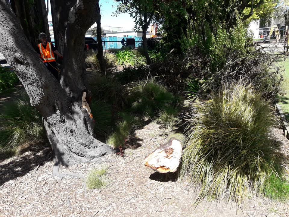 The photograph attached to this parks report
