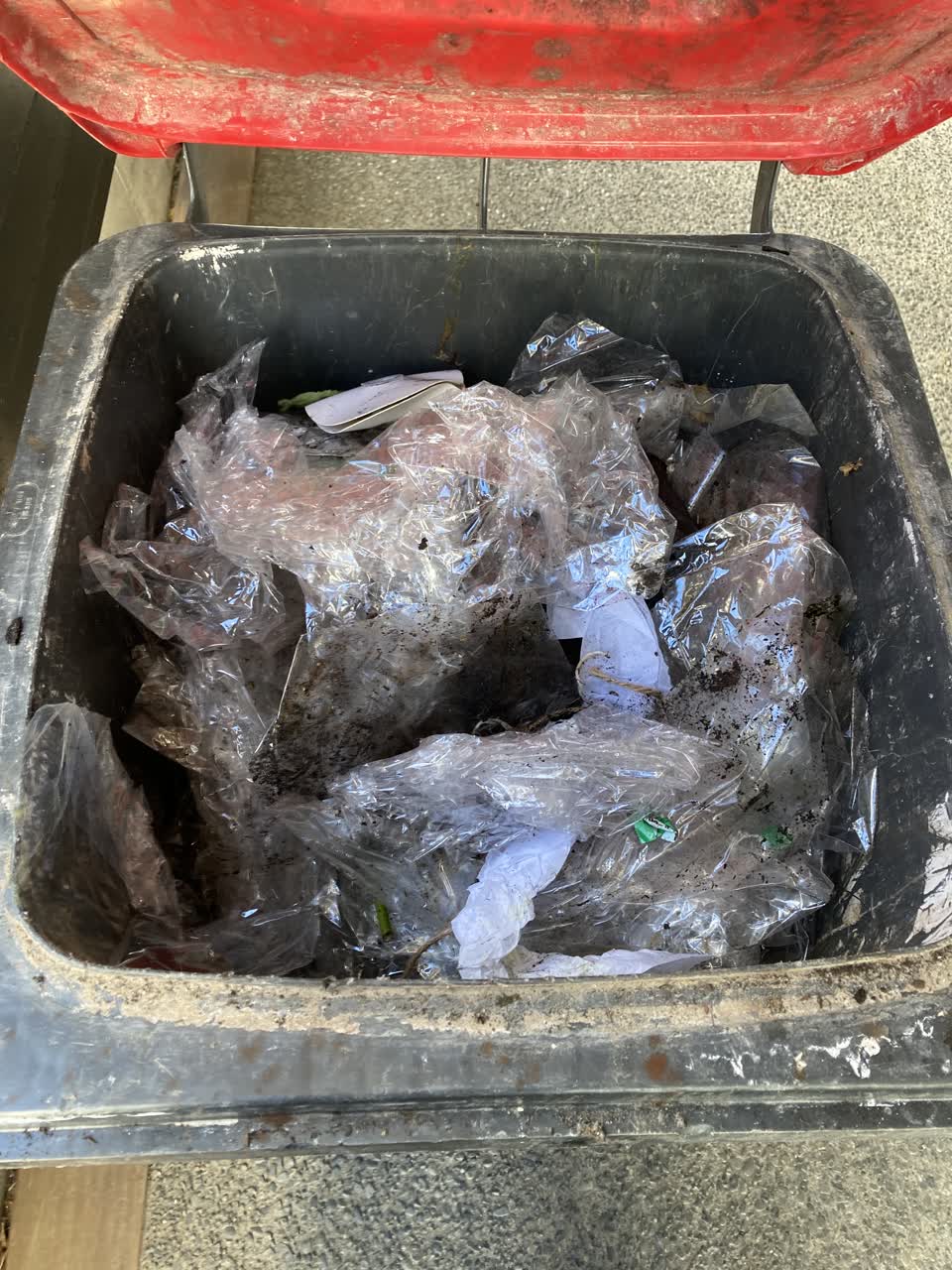The photograph attached to this rubbish/recycling report