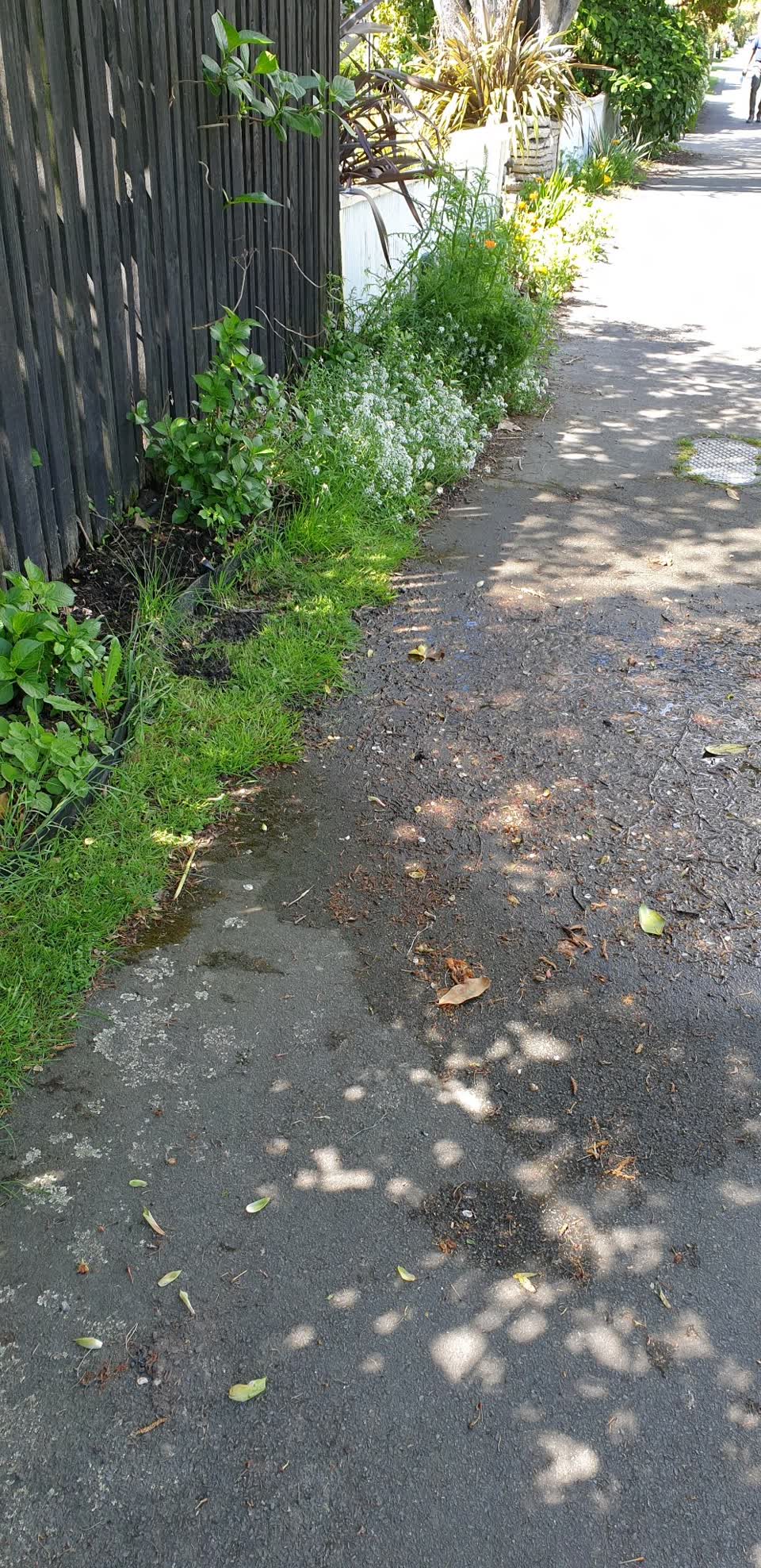 The photograph attached to this water leak report