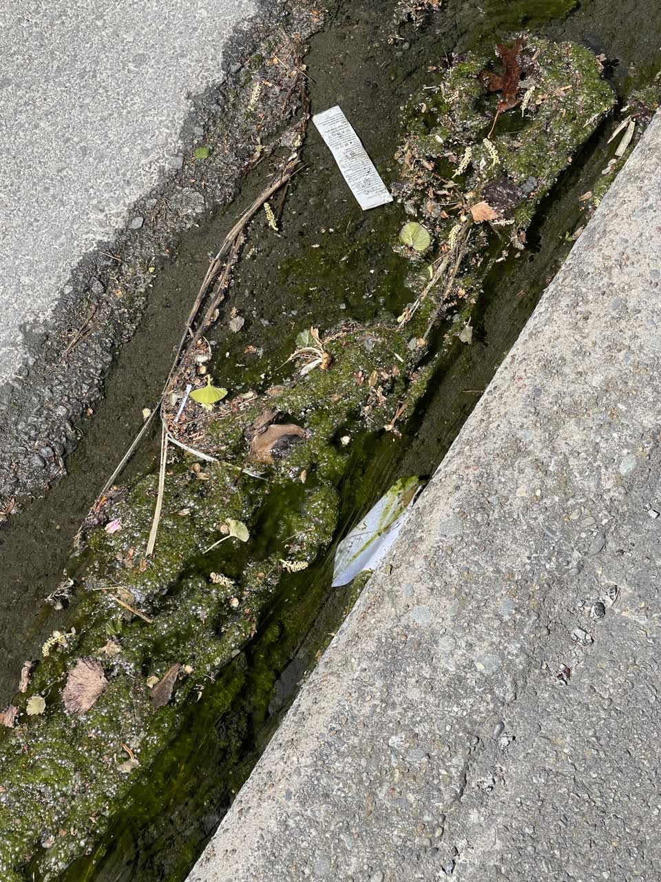 The photograph attached to this wastewater/stormwater report