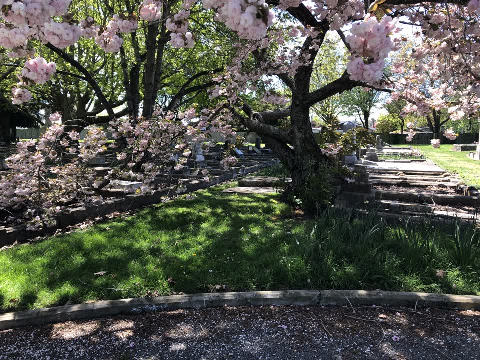 The photograph attached to this parks report