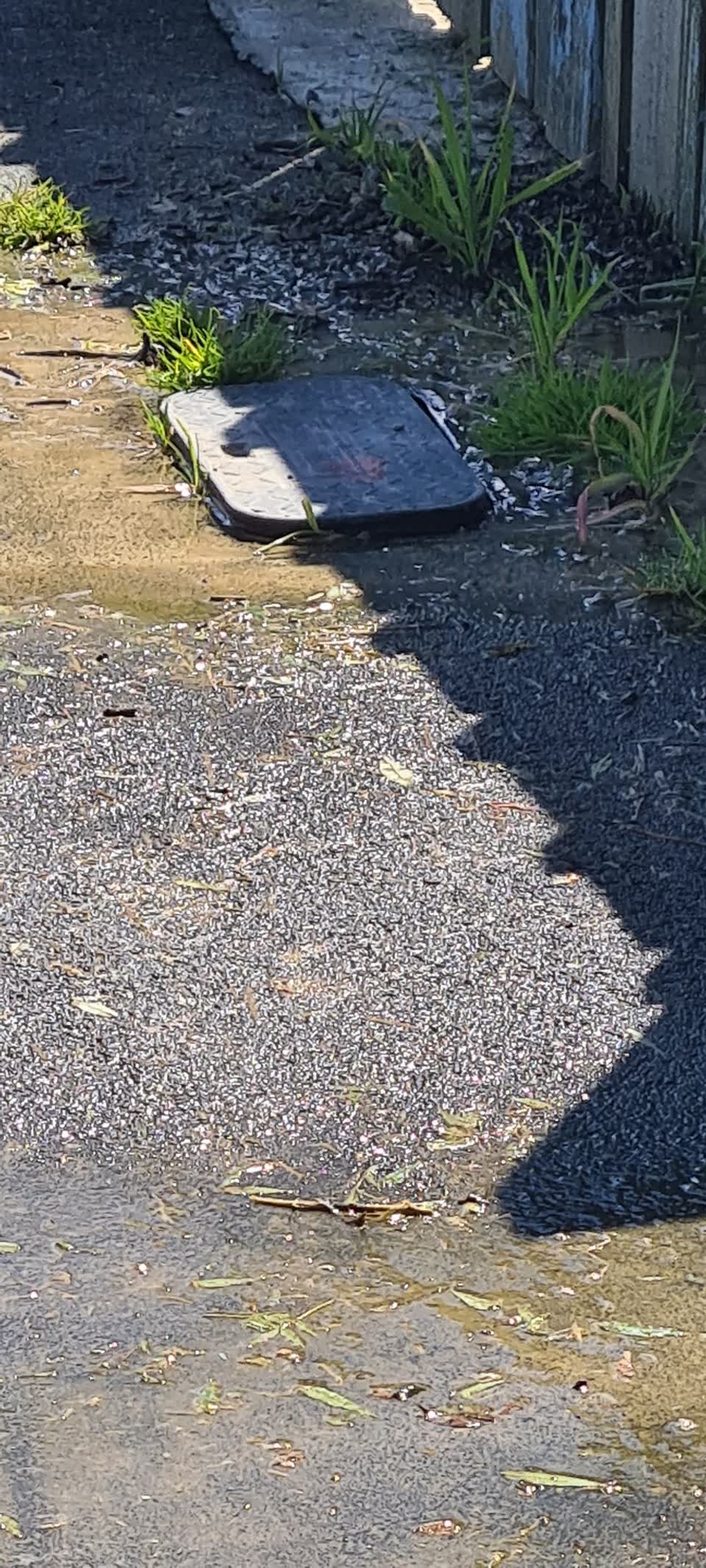 The photograph attached to this water leak report