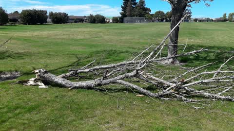 Parks, a report photo