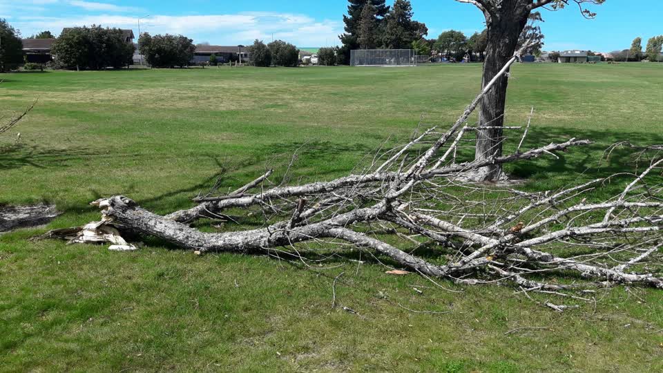 The photograph attached to this parks report