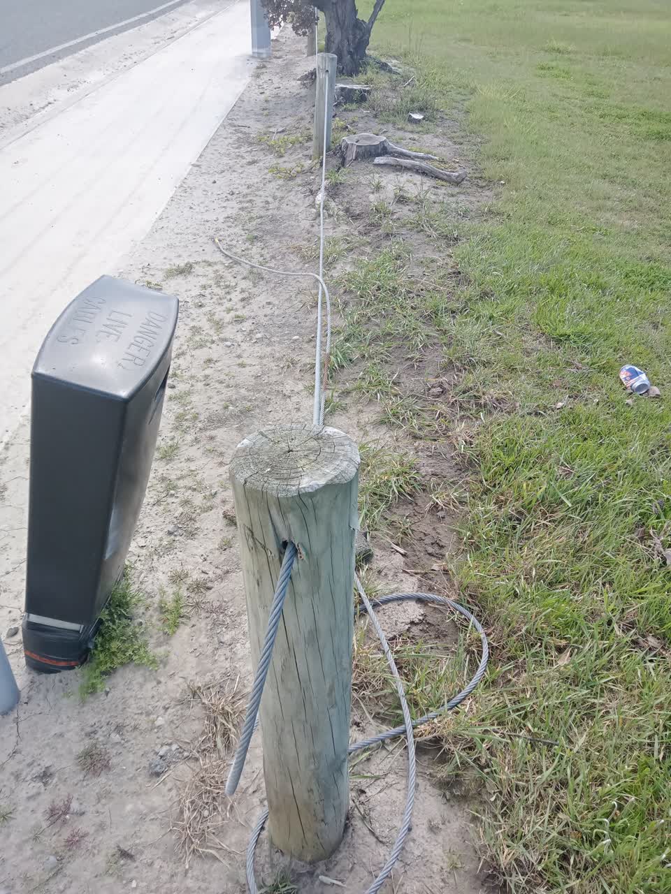 The photograph attached to this parks report