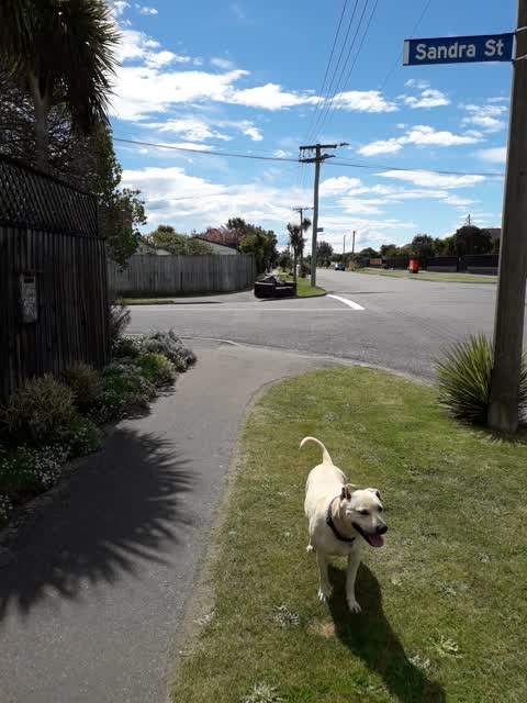 Rubbish/Recycling, a report photo