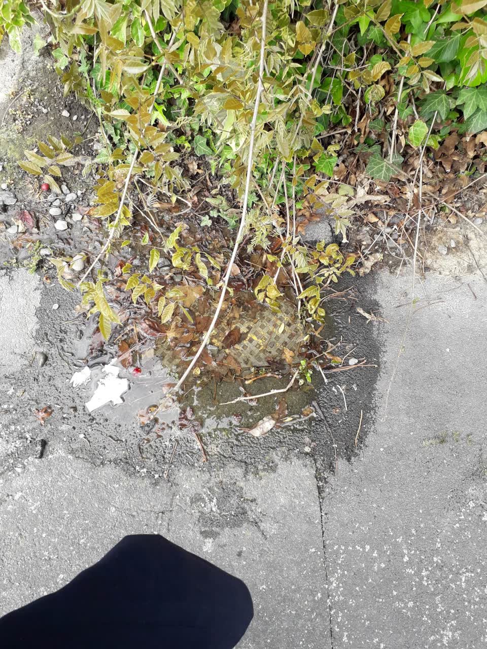The photograph attached to this water leak report