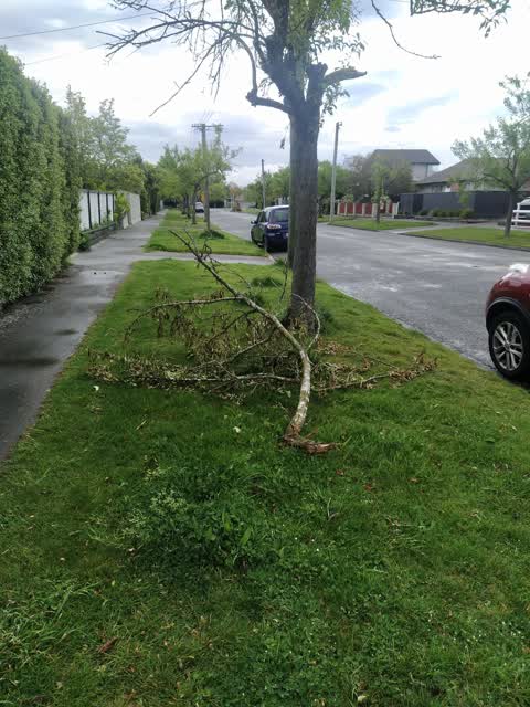 Roading/Streets, a report photo