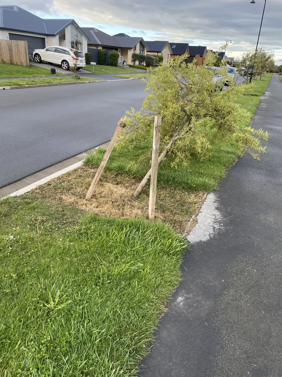 The photograph attached to this parks report