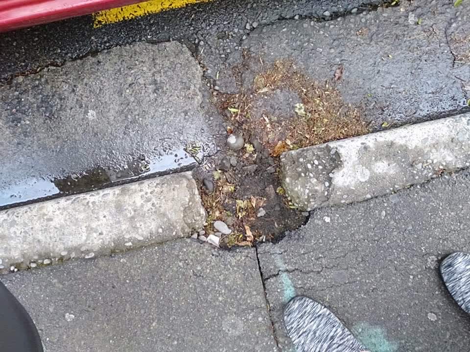 The photograph attached to this roading/streets report