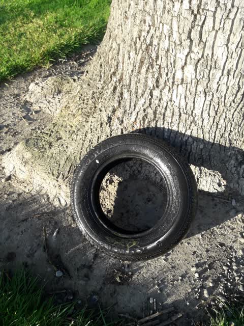 Parks, a report photo