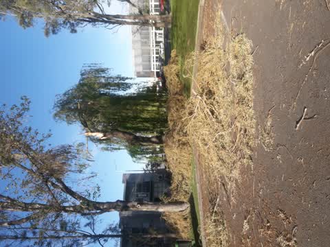 Parks, a report photo
