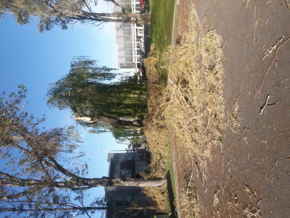 The photograph attached to this parks report