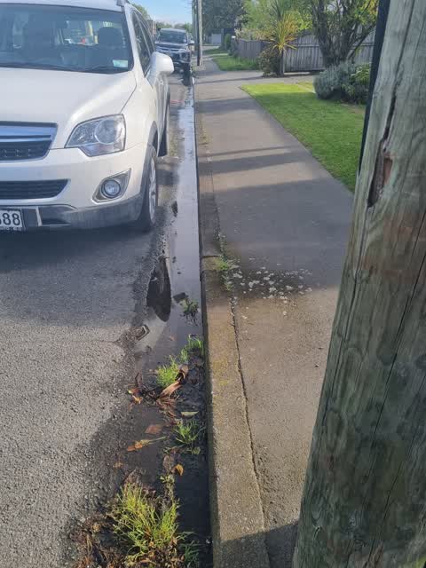 Water Leak, a report photo