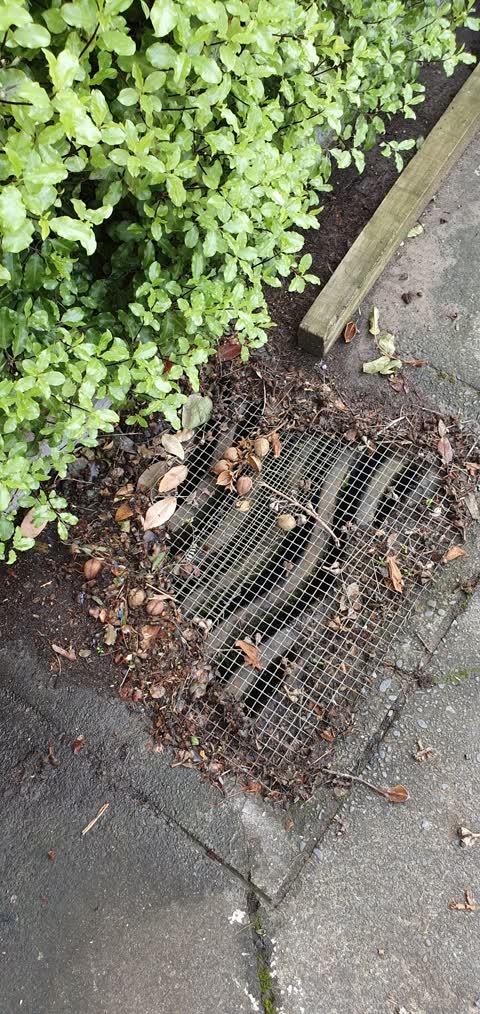 Wastewater/Stormwater, a report photo