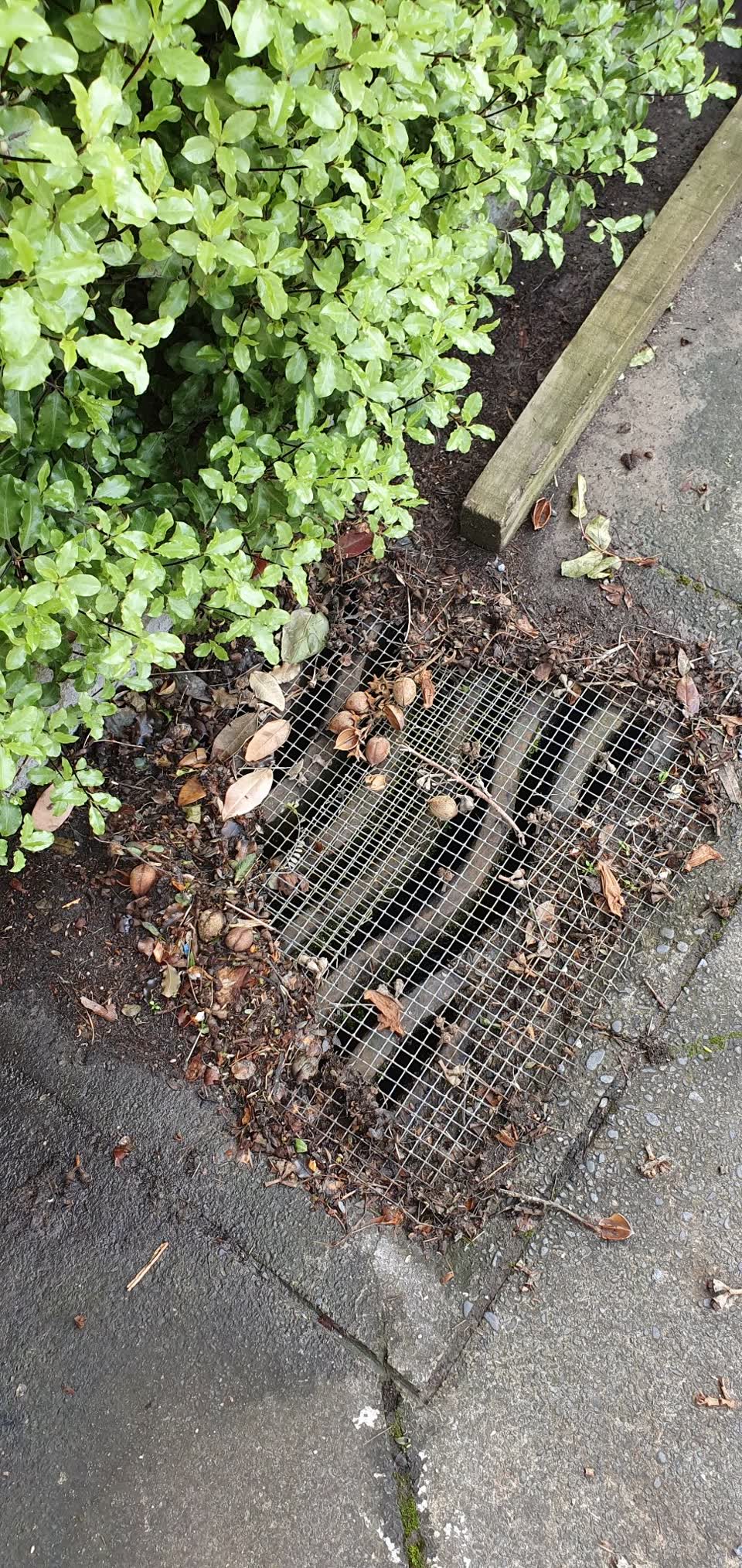 The photograph attached to this wastewater/stormwater report