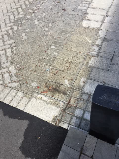 Water Leak, a report photo