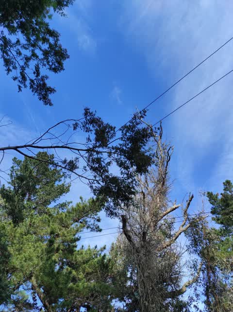 Street Light Outage — a report photo