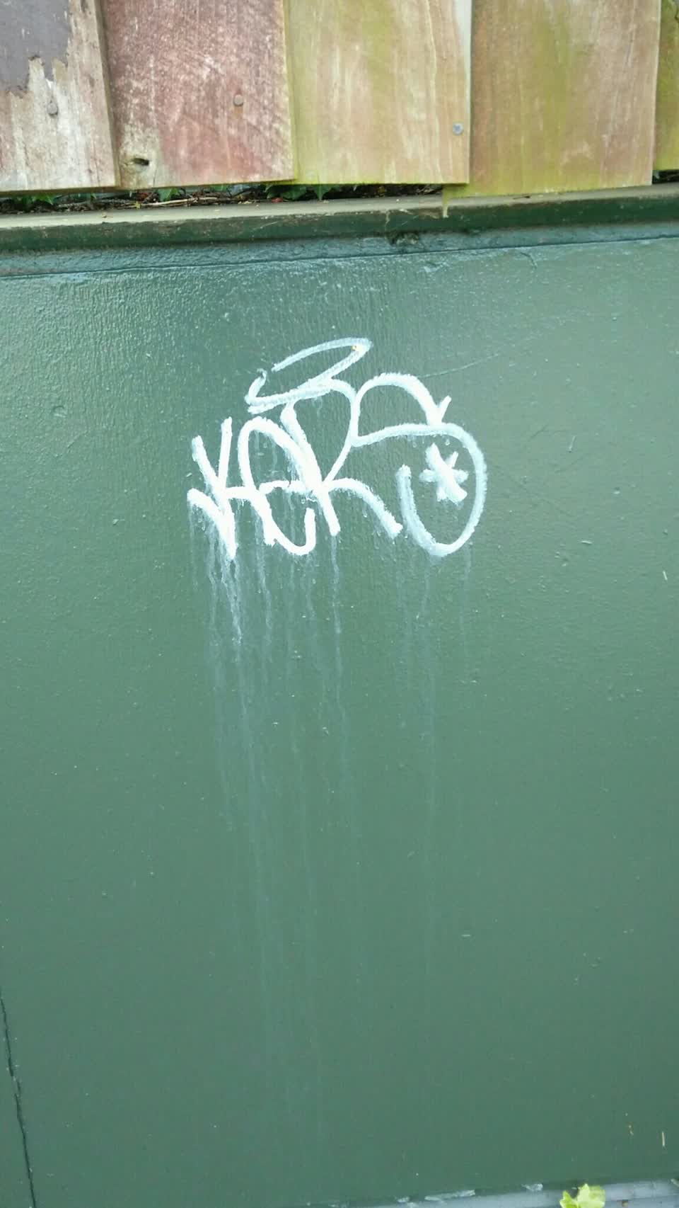 The photograph attached to this graffiti report
