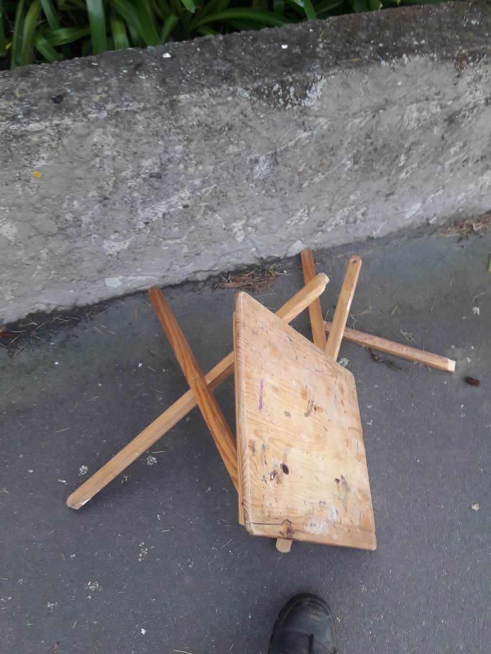 The photograph attached to this parks report
