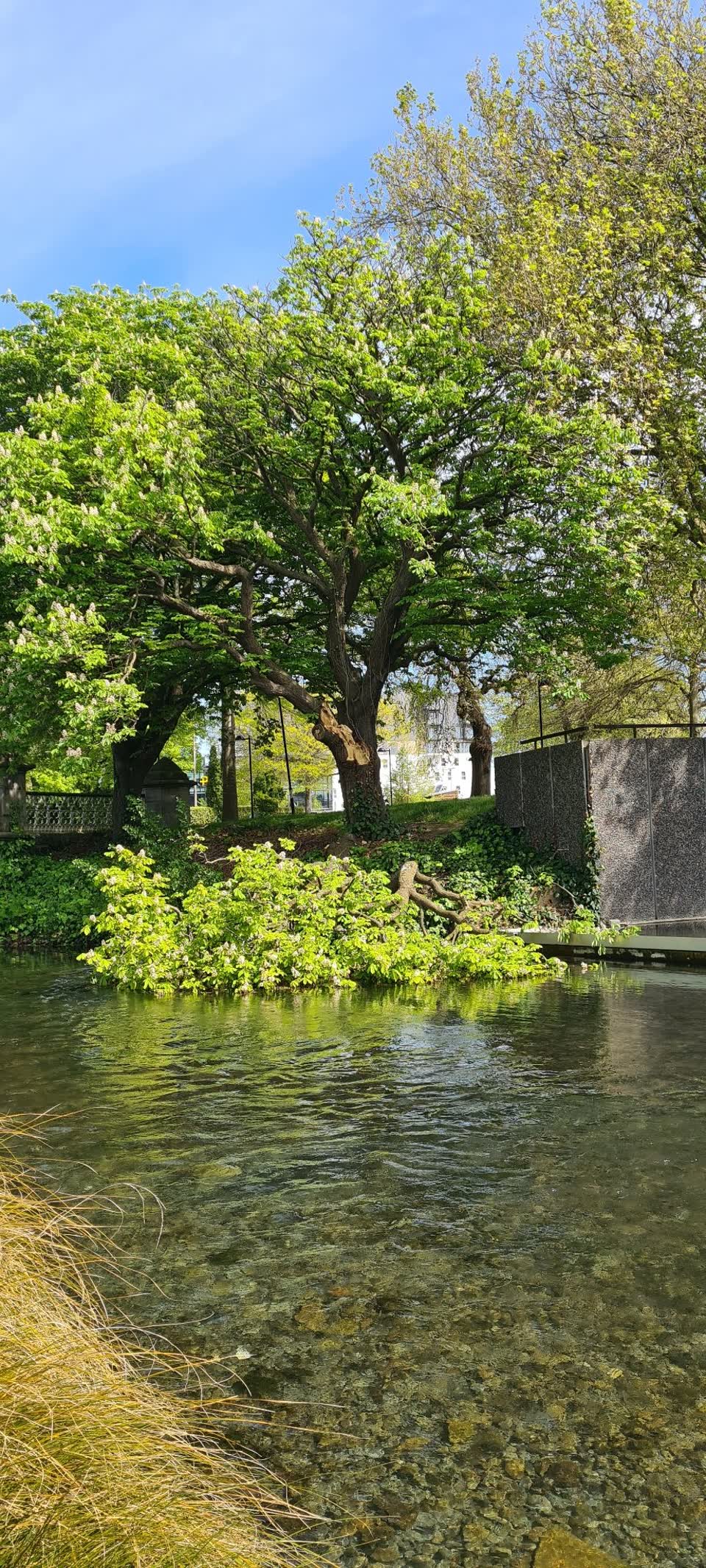 The photograph attached to this parks report
