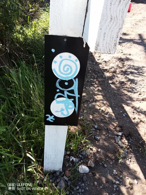 Graffiti, a report photo