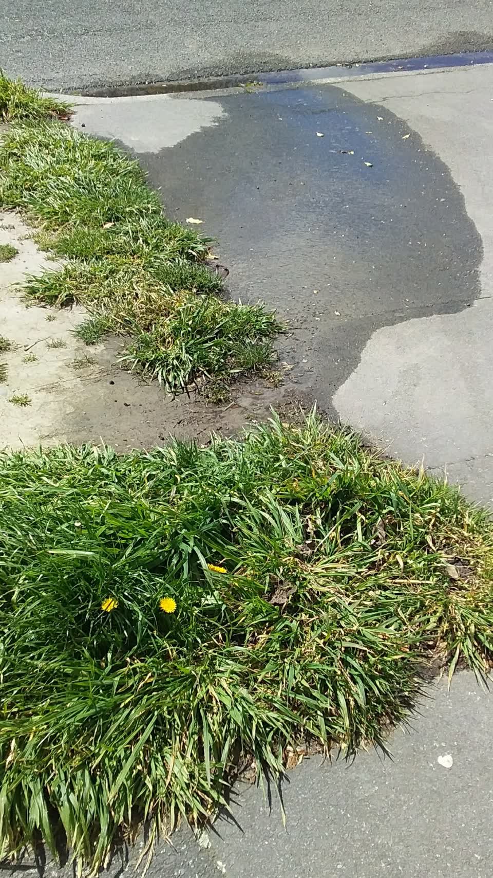 The photograph attached to this water leak report