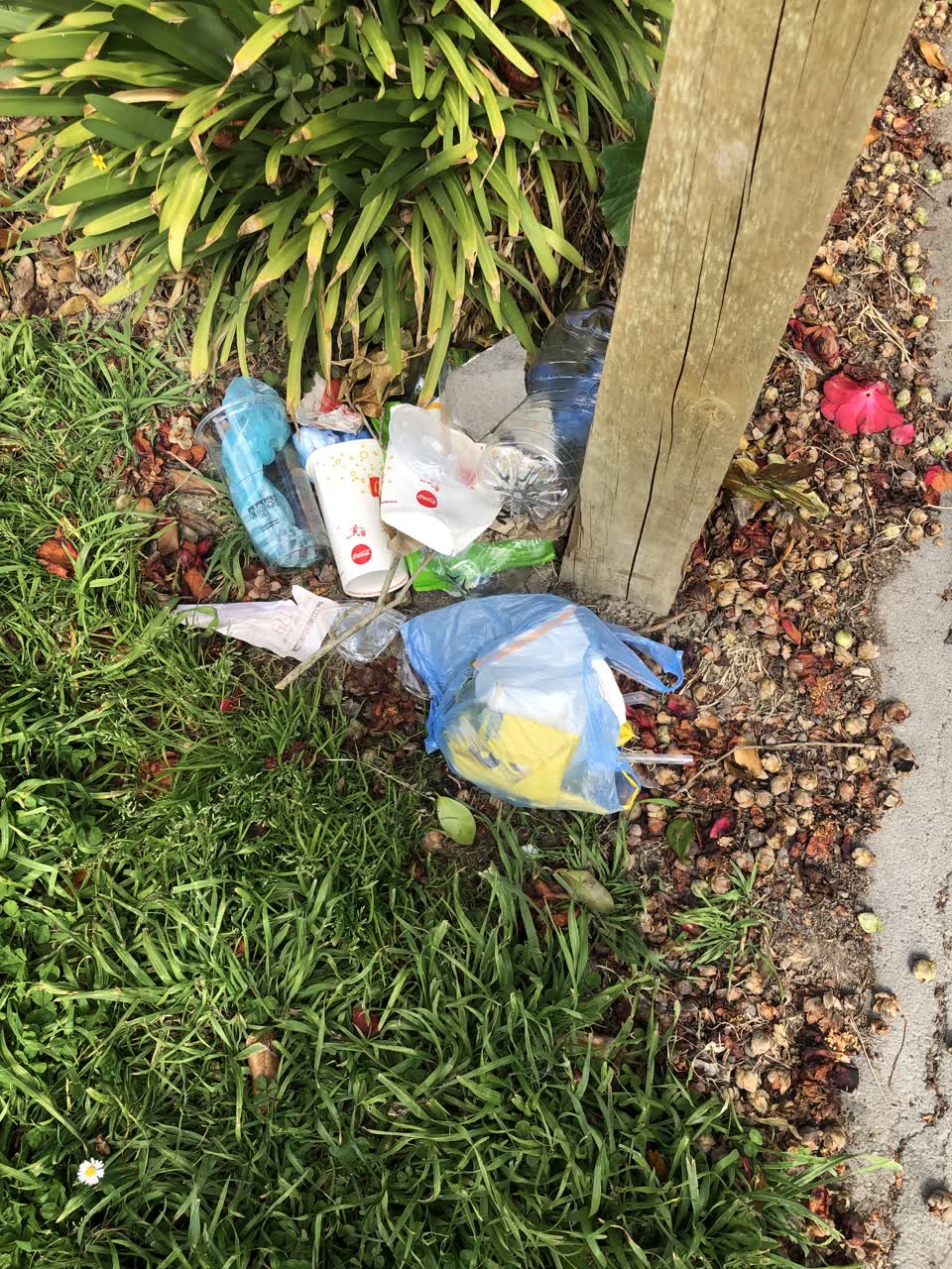 The photograph attached to this parks report
