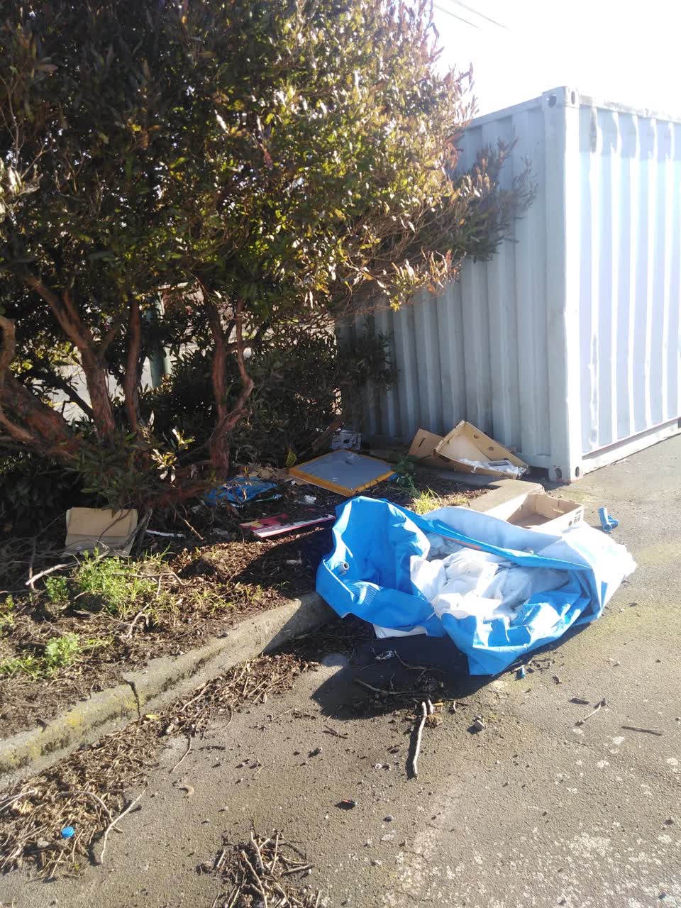 The photograph attached to this rubbish/recycling report