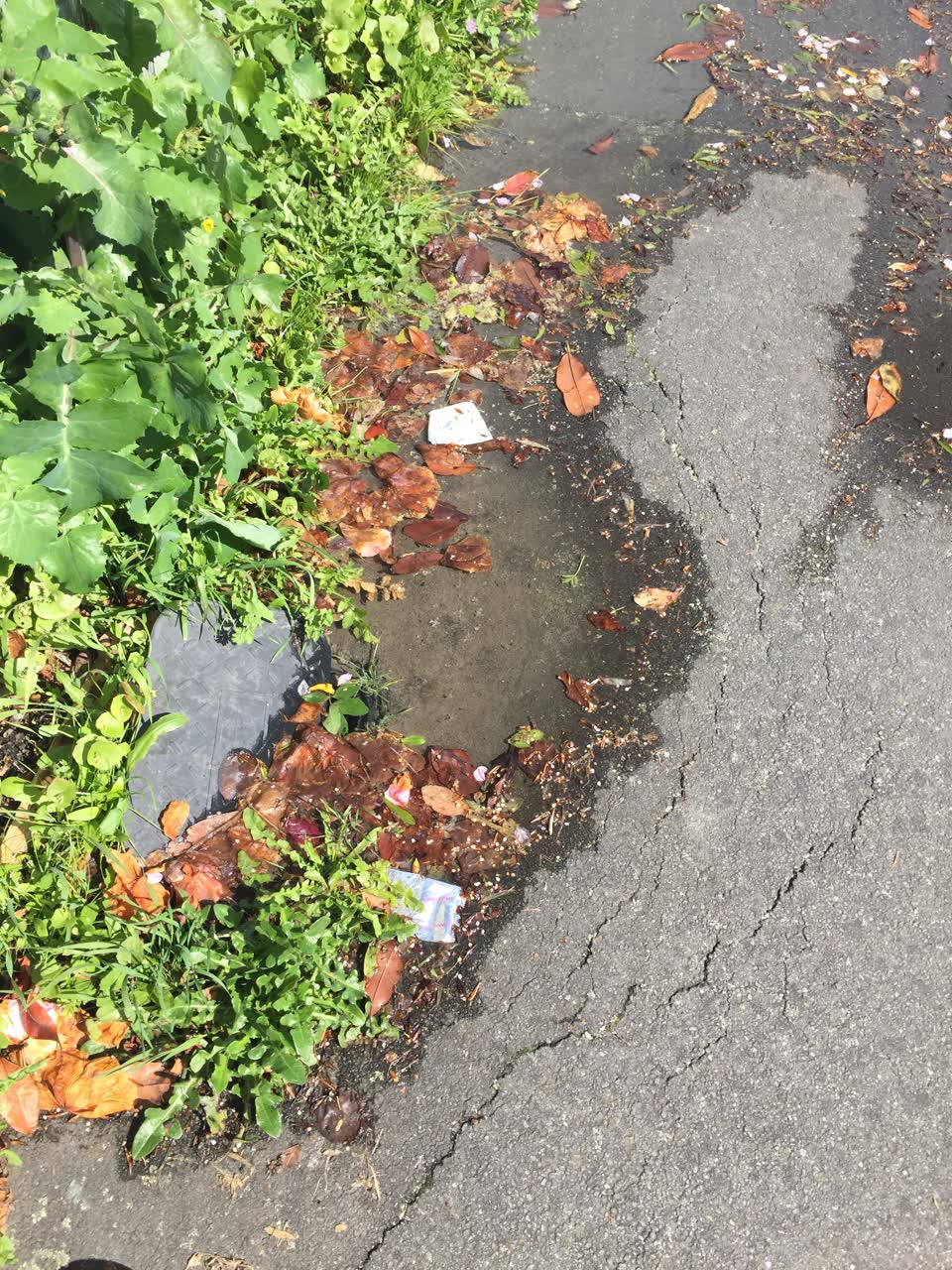 The photograph attached to this sewer - leak / blockage report