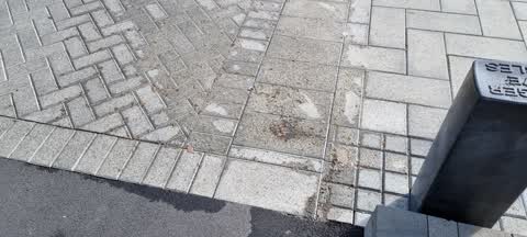 Water Leak, a report photo
