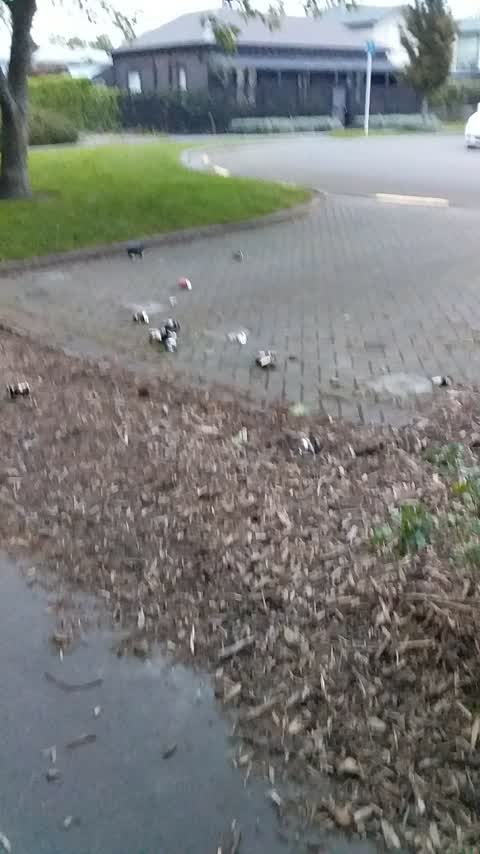 Rubbish/Recycling, a report photo