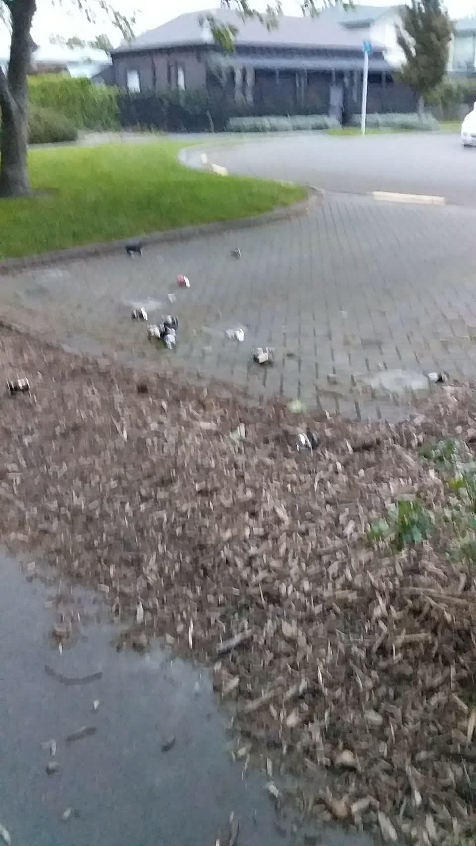 The photograph attached to this rubbish/recycling report