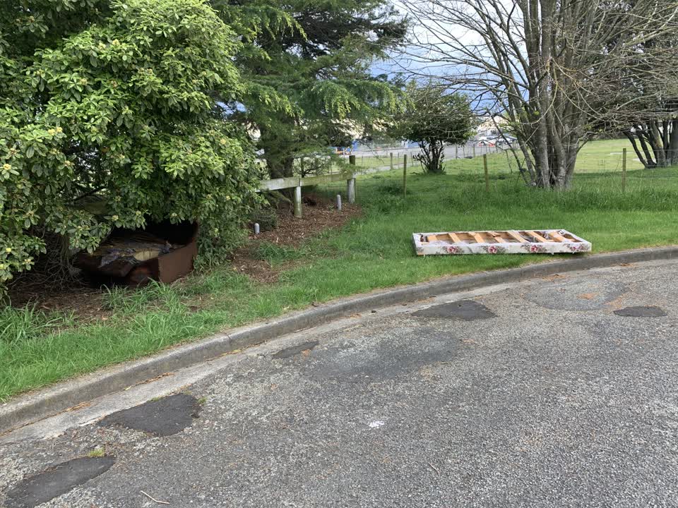 The photograph attached to this parks report